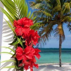 Meet your Posher, Christy